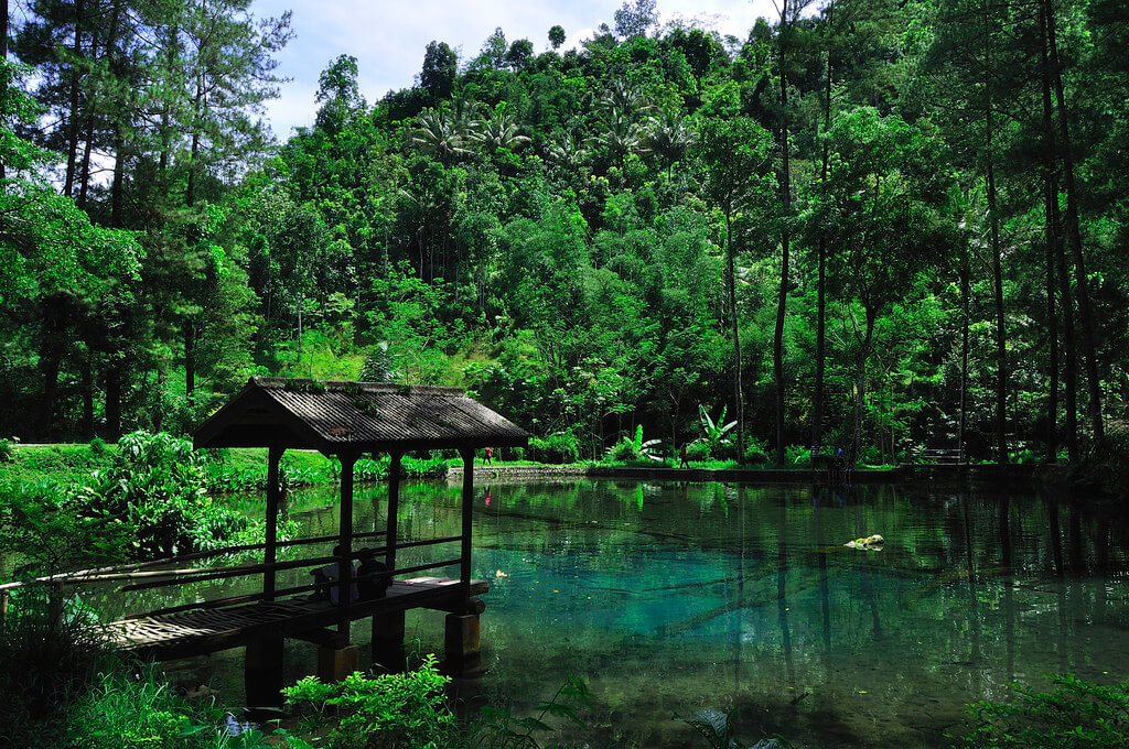 Telaga Rambut Monte, Jawa Timur